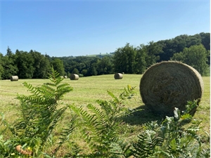 terrain agricole à la vente -   19410  VIGEOIS, surface 93000 m2 vente terrain agricole - UBI475191764